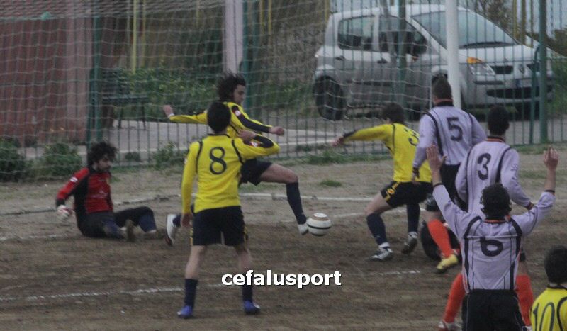 120310 stefanese 098y_tn.jpg